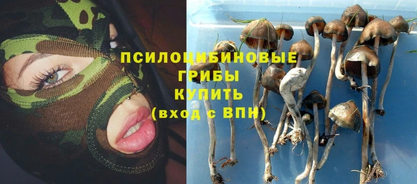 не бодяженный Волоколамск